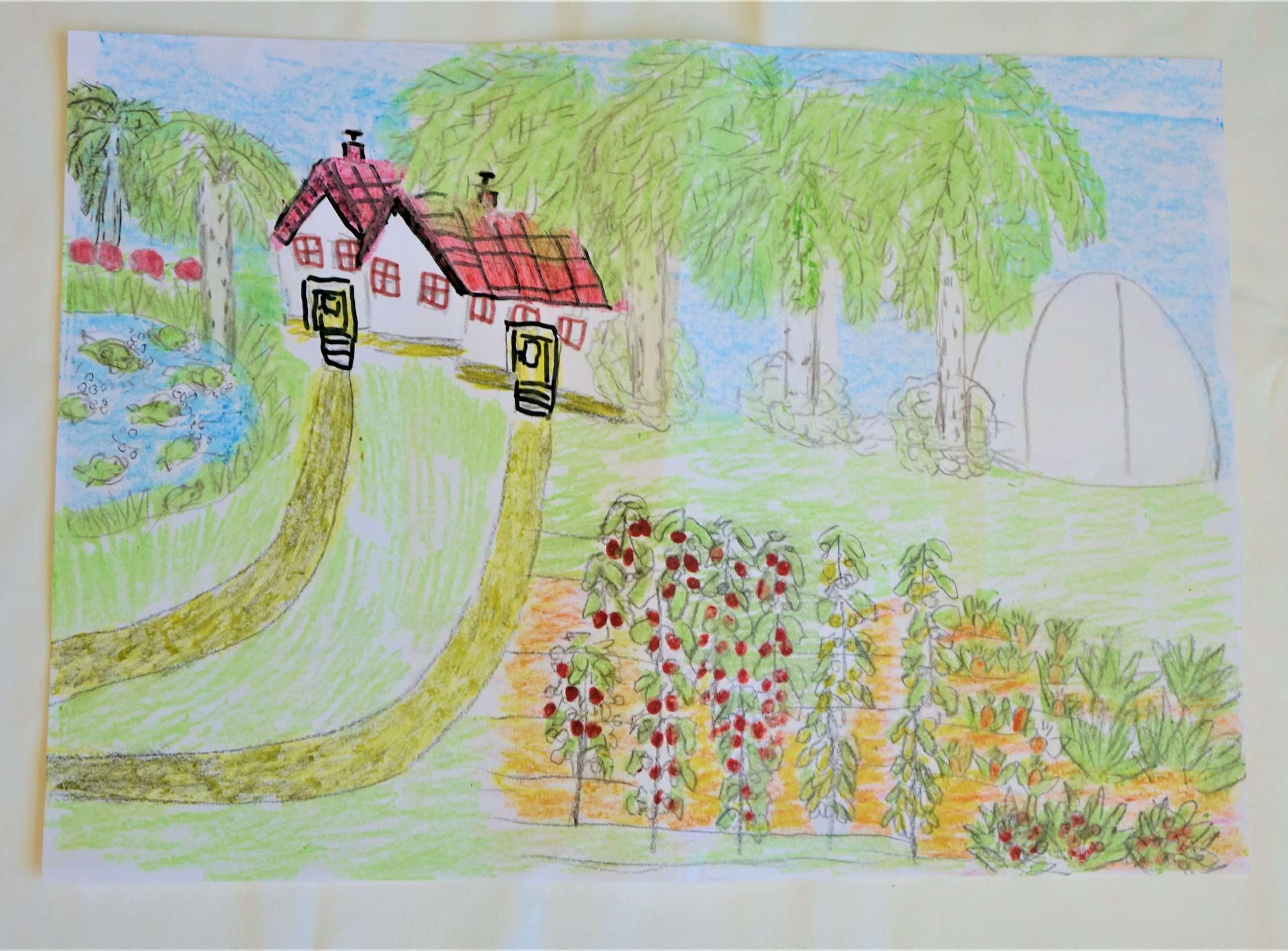 Színes ceruzával rajzolt A3 méretű képen a kertészet kerül bemutatásra. A háttérben található egy épület, ami mellett jobbra egy üvegház került lerajzolásra. A kép bal oldalán egy tó látható, valamint mögötte diófák és hársfák. A kép előterében veteményeskert lett rajzolva.